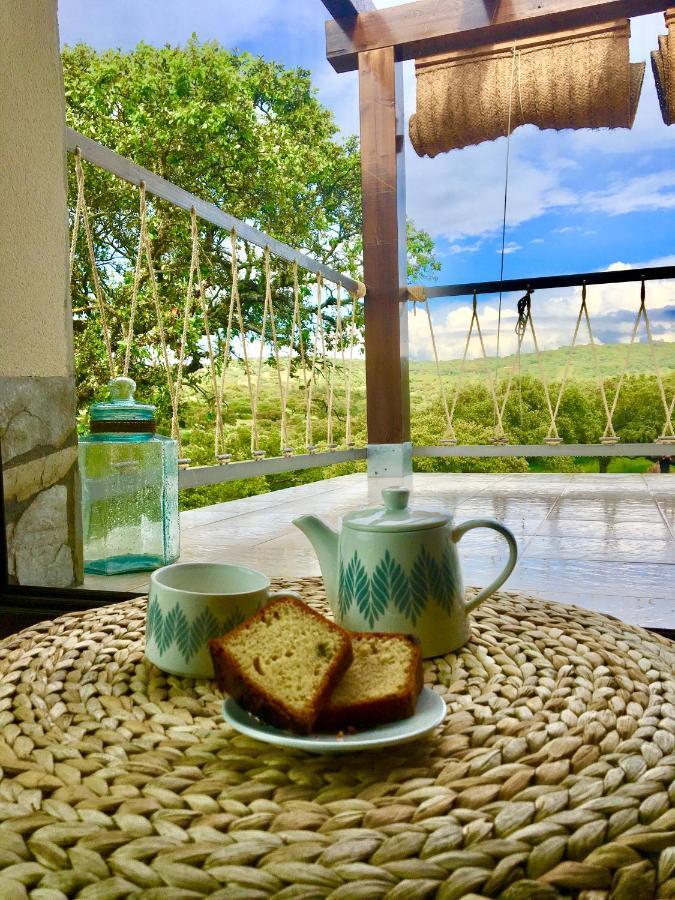 La Siesta Del Naranjo Villa Monesterio Dış mekan fotoğraf