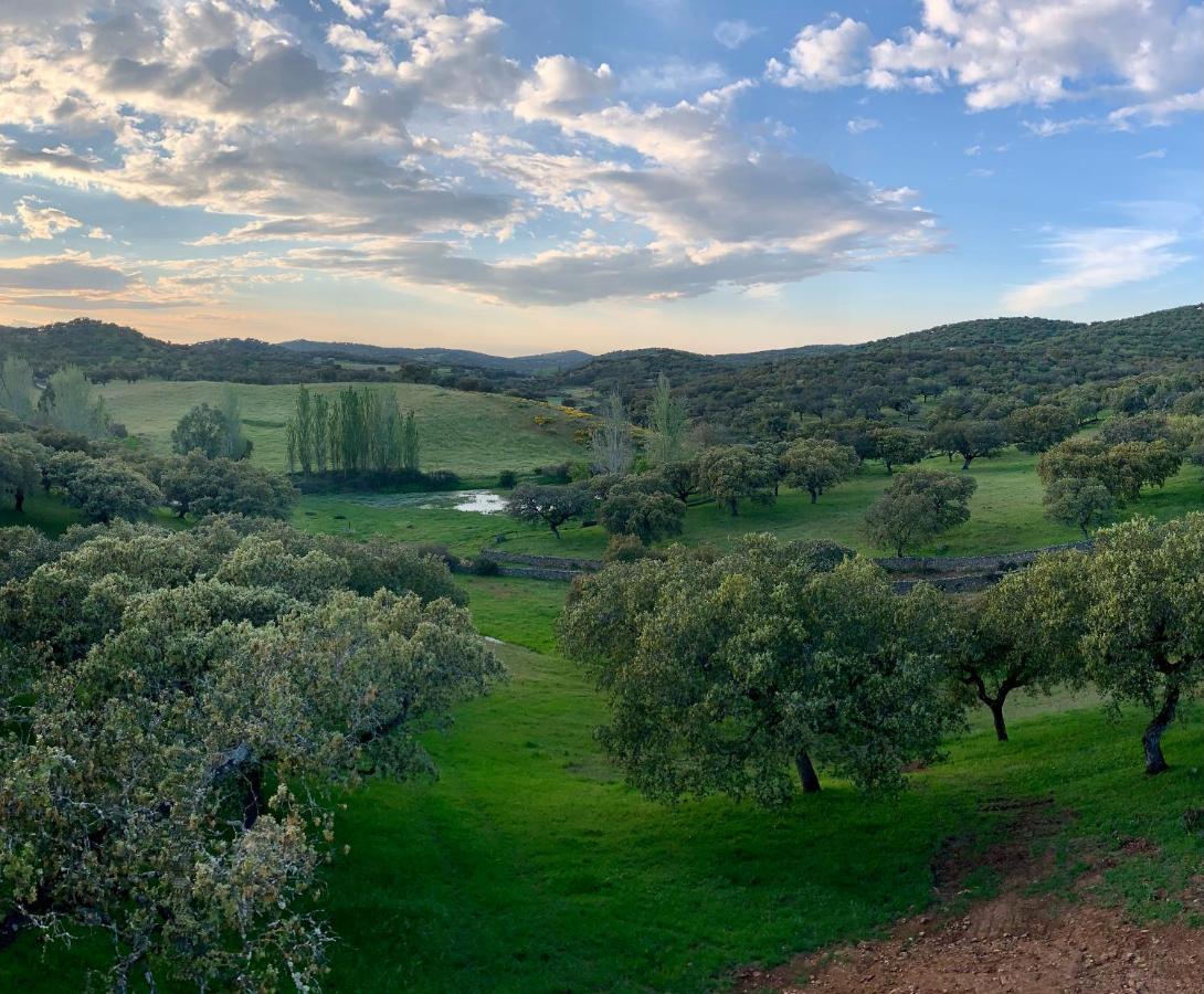 La Siesta Del Naranjo Villa Monesterio Dış mekan fotoğraf