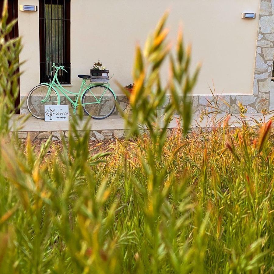 La Siesta Del Naranjo Villa Monesterio Dış mekan fotoğraf